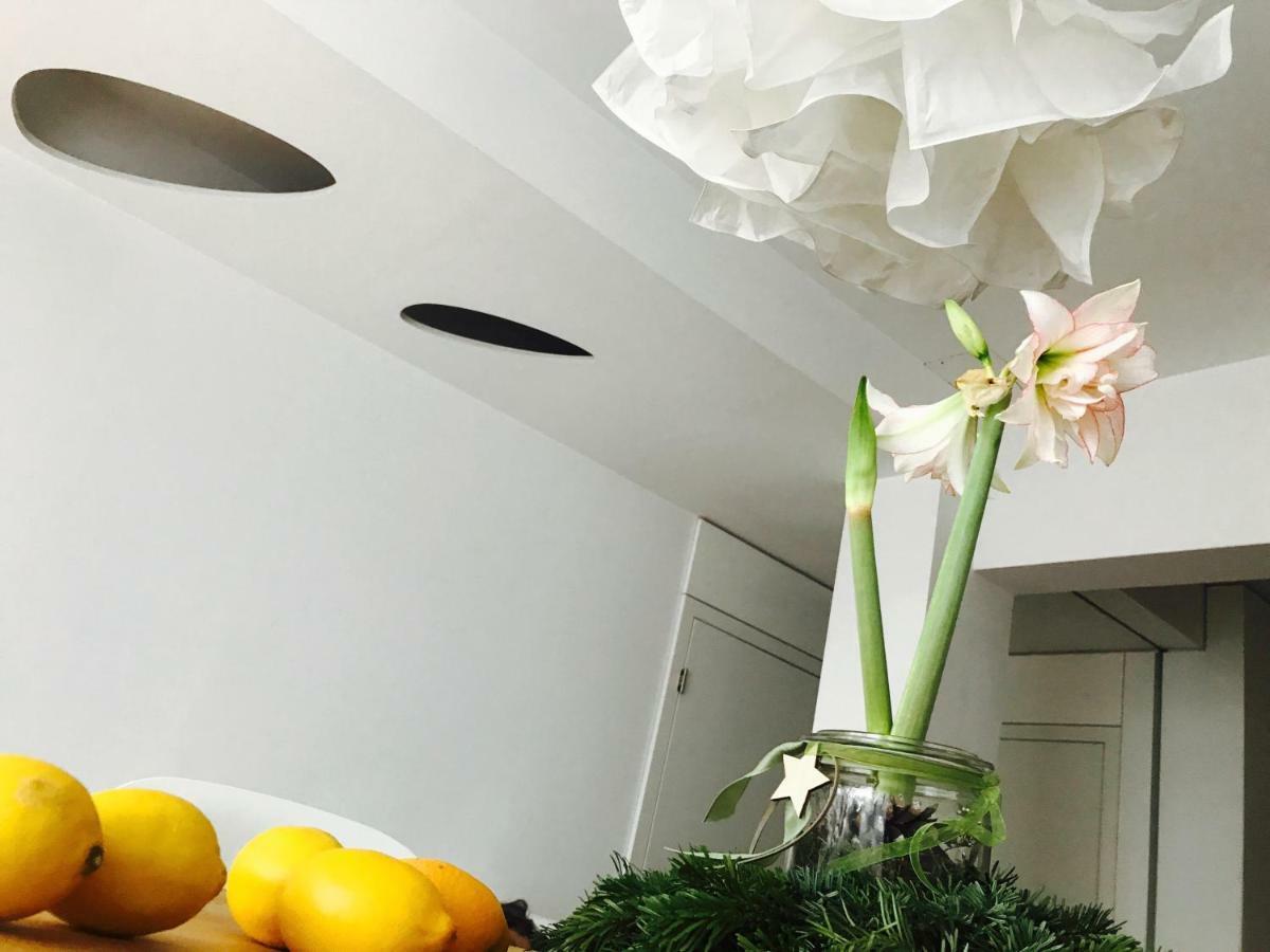 Architectural Loft Apartment Sofia